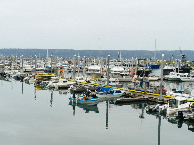 yachts at dock in Homer