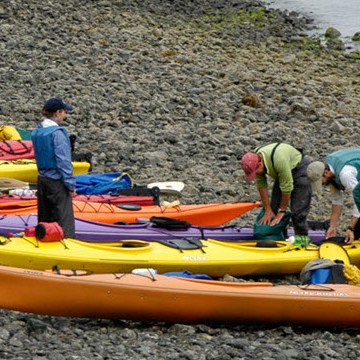 kayaks lined up on beach